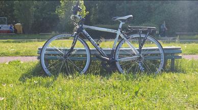 Bottecchia AV803