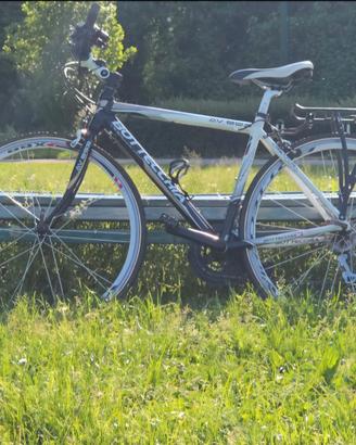 Bottecchia AV803