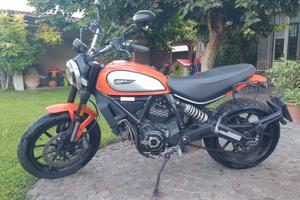 Ducati Scrambler Icon 800 - 2019
