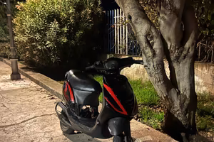 Zip sp mk2