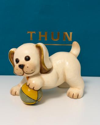 Cane con palla thun