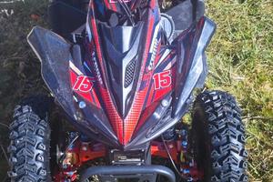 Altro Altro modello - 2024