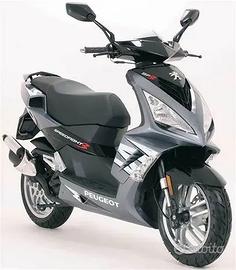 PEUGEOT SPEEDFIGHT 3 RS 50 2T RICAMBI