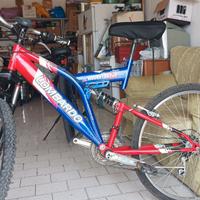 bici MTB Lombardo