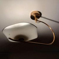 Coppia sospensioni in vetro di Murano