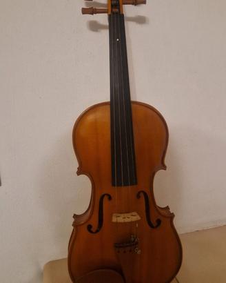 Violino scolastico