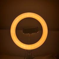 ring light