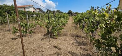 Terreno edificabile zona pozzo Magrì