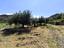Immagine 25