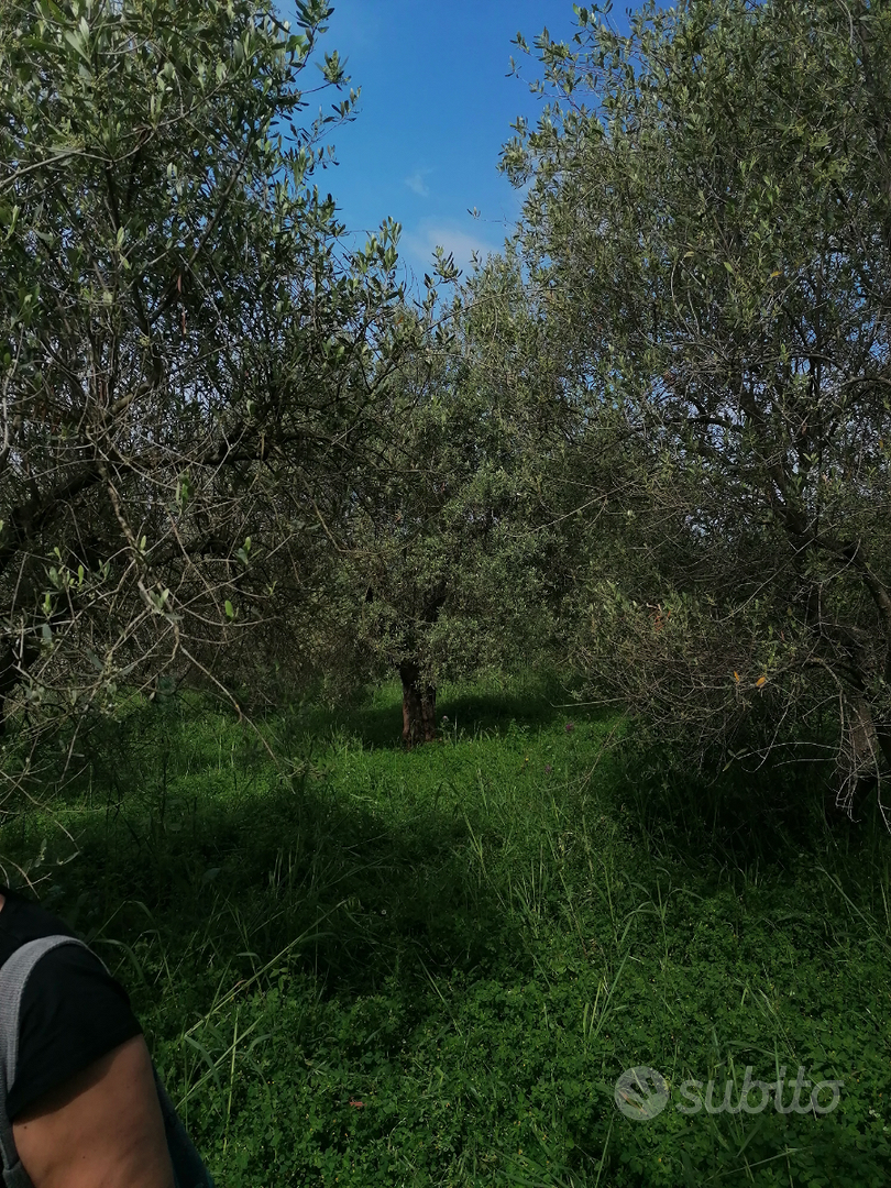 Terreno con rustico - Vista 2