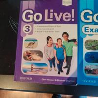 libri inglese 3 media 