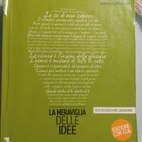 le meraviglie delle idee 