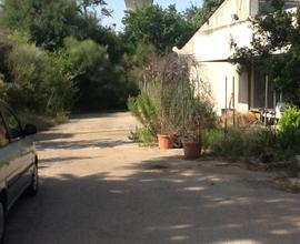 Serre in Via Bitritto