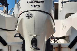 Motore fuoribordo E tec 90cv