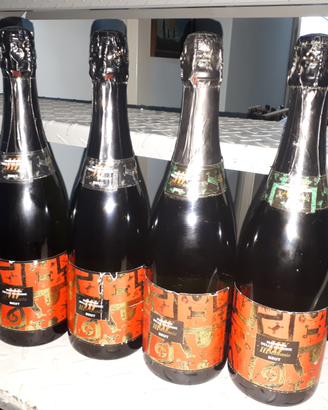 11 Spumanti da collezione