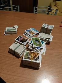 Figurine WWF IL GIRO DEL MONDO IN 180 FIGURINE coo