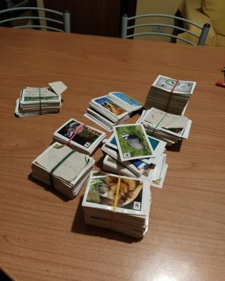 Figurine WWF IL GIRO DEL MONDO IN 180 FIGURINE coo