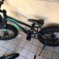 fat bike 