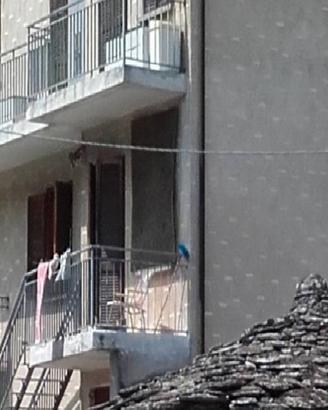 Trilocale Chialamberto valli di Lanzo