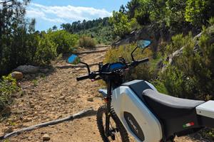 Altro Altro modello - 2024