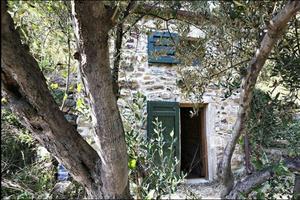 Rustico e vigneto Cinque Terre