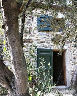 Rustico e vigneto Cinque Terre