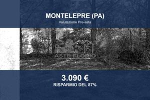 Immobile in asta di 4631 m² a Montelepre