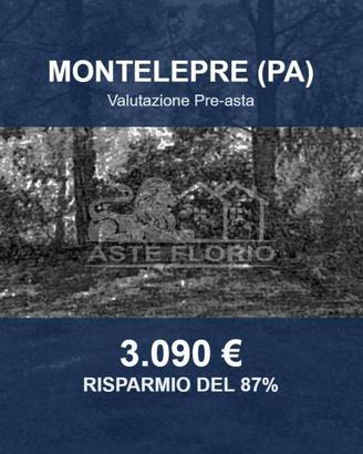 Immobile in asta di 4631 m² a Montelepre