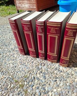 dizionari della lingua italiana 