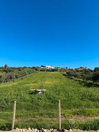 Terreno agricolo irrigabile 3.300 mq