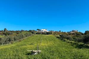 Terreno agricolo irrigabile 3.300 mq