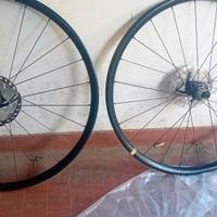 cerchi ruota bicicletta  