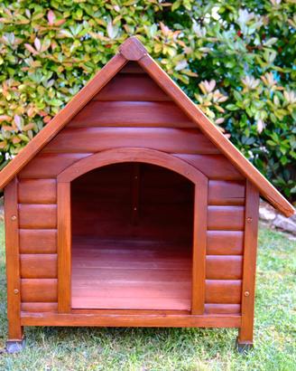 Casetta per cane