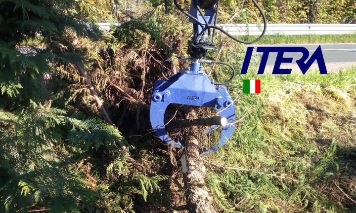 Pinza Legna 80cm +Rotatore Idraulico 10qli