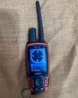 Palmare garmin 320