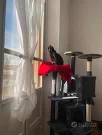 Albero tiragraffi per gatti alto 178 cm