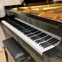 Pianoforte a coda Essex EGP-173 by Steinway&Sons