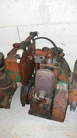 Ricambi Goldoni export