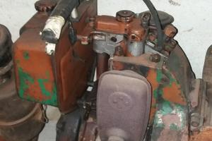 Ricambi Goldoni export