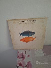 DISCHI 33 GIRI VINILE