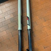Forcella wp sxs