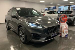 FORD Kuga 2.0 Diesel Automatico ST-Line X StraFu
