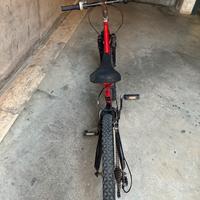 Mtb ammortizzata
