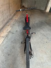 Mtb ammortizzata