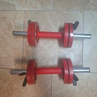2 manubri e 8 dischi ghisa da 1 kg ciascuno 