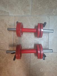 2 manubri e 8 dischi ghisa da 1 kg ciascuno 
