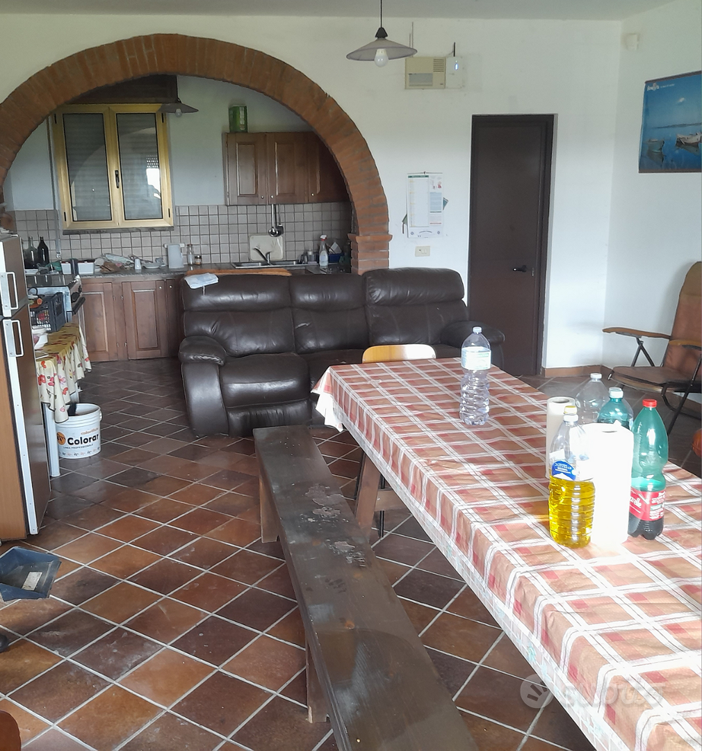Villetta su tre ettari di terreno 400 piante ulivo - Vista 3