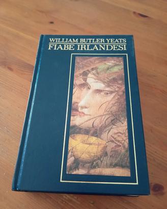 Libro Antiche fiabe Irlandesi 