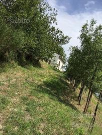 Affare_casa di campagna