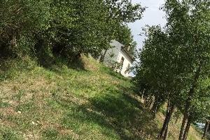 Affare_casa di campagna